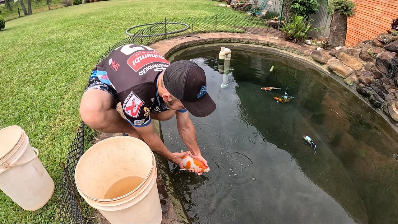 Secamos o lago, agora vem novos moradores