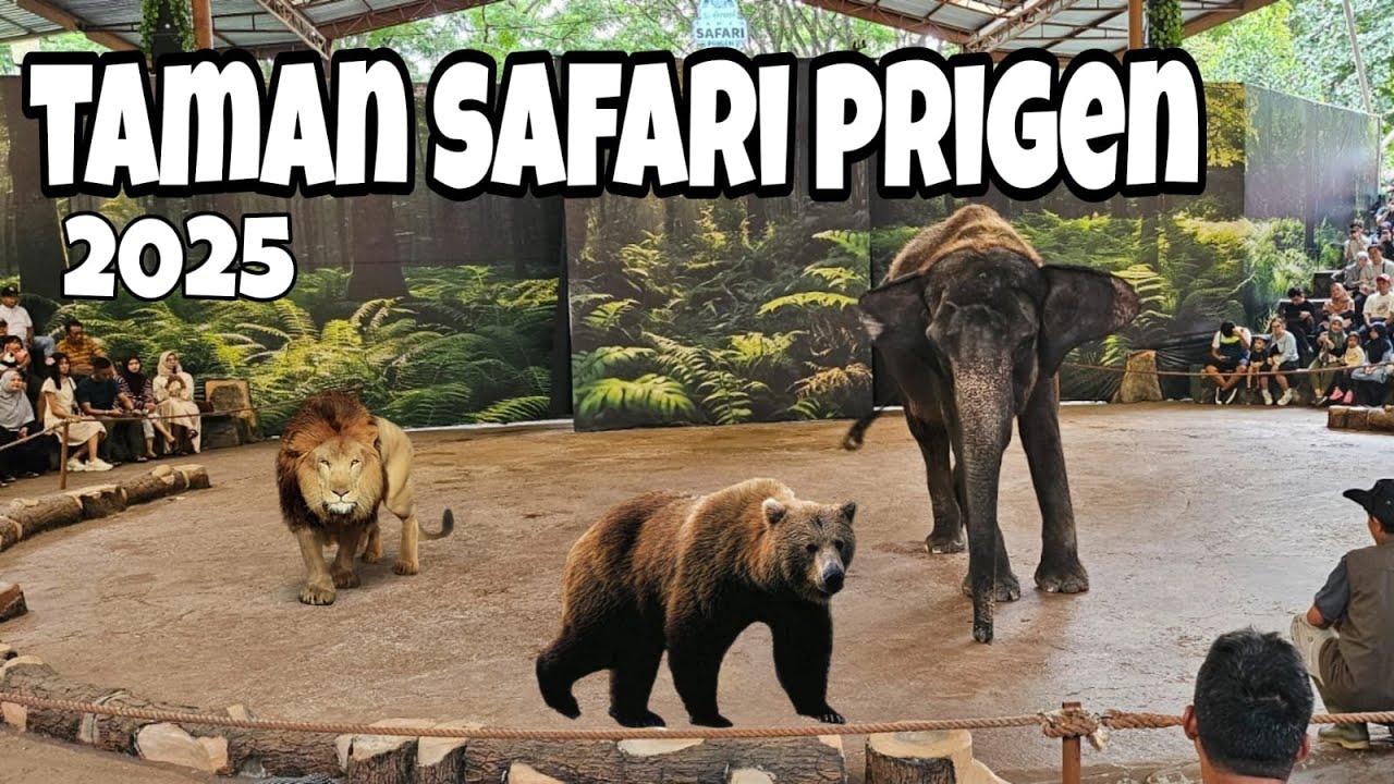 EXPLORE TAMAN SAFARI PRIGEN | PASURUAN🐅🐂🐘🐬