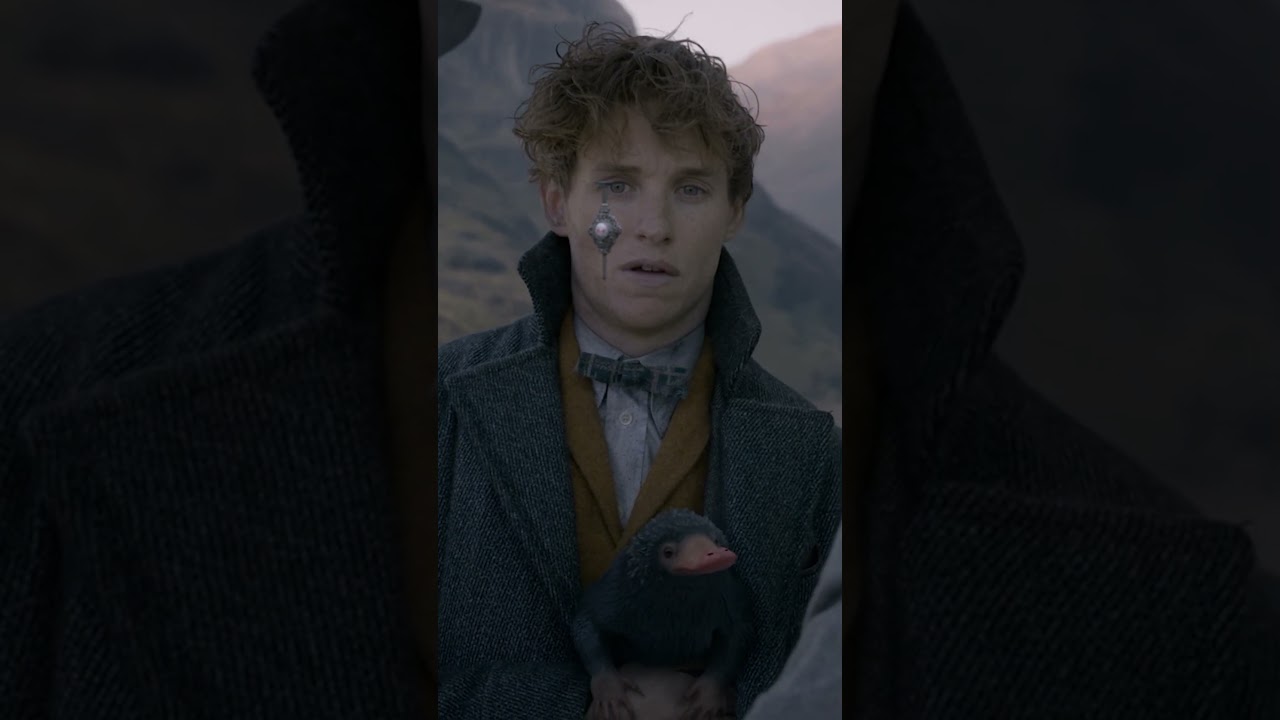 Newt gives Dumbledore the blood pact pendant 
