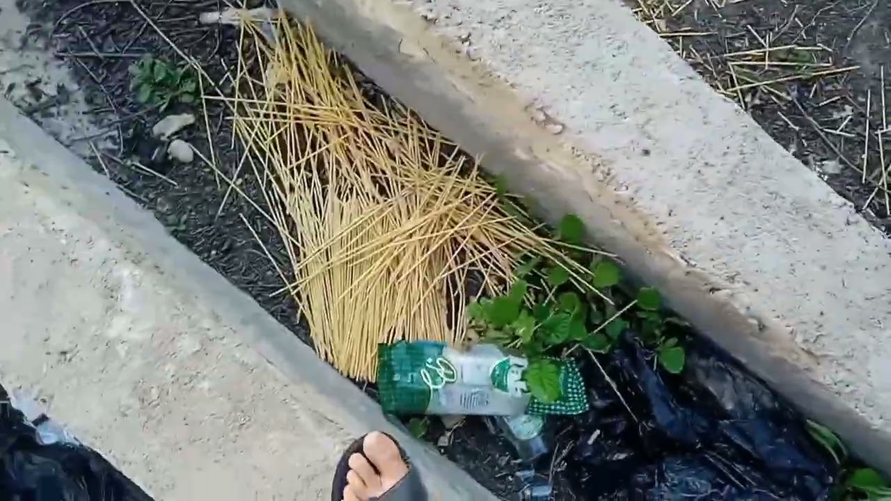 ۲۱ فوریهٔ ۲۰۲۶