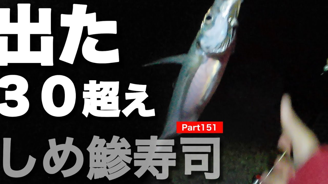 【鯵釣り】厳しい中…出た😄しめ鯵寿司 😋⛩️Part 151🐟#和歌山釣り#アジ釣り#尺アジ#しめ鯵