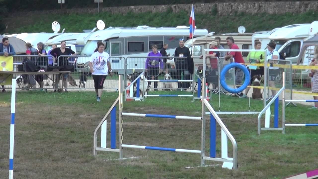Avallon Cup 2015 - Concours d'agility international - Édition 2015 à Avallon (89)