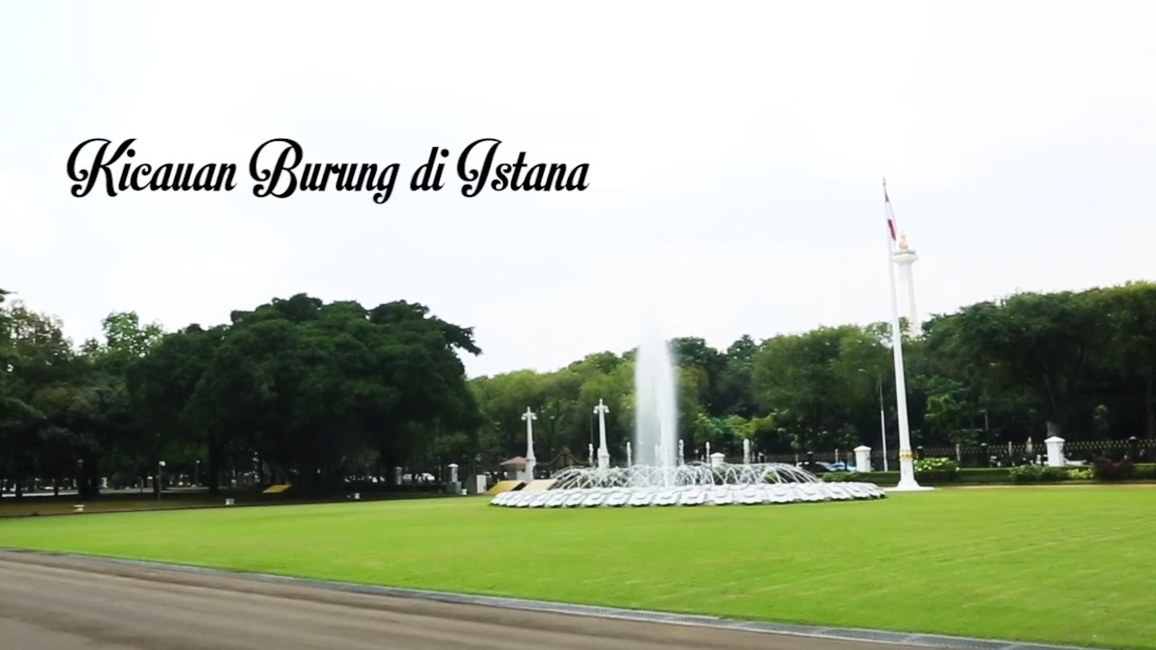 KICAUAN BURUNG DI ISTANA