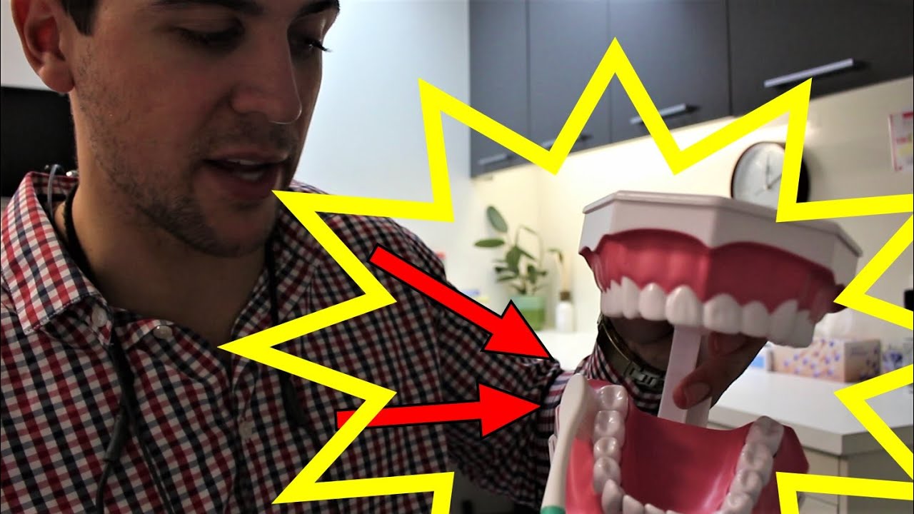 HOW TO BRUSH YOUR TEETH - Advice from a dentist. Everything you need to know 👌