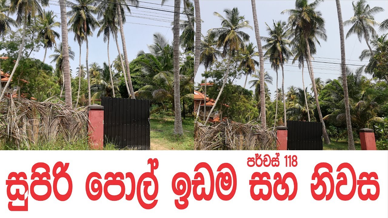Land Sale in Sri Lanka | Aduwata Gewal Idam | Low Budget Land Sale in Sri Lanka