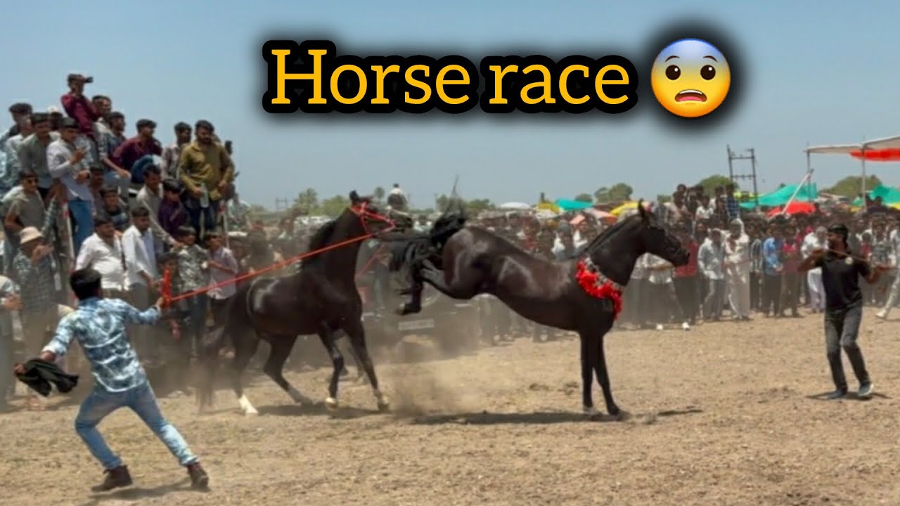 Finally aaje horse ne lay ne race ma gaya hathla porbandar Gujarat 😍