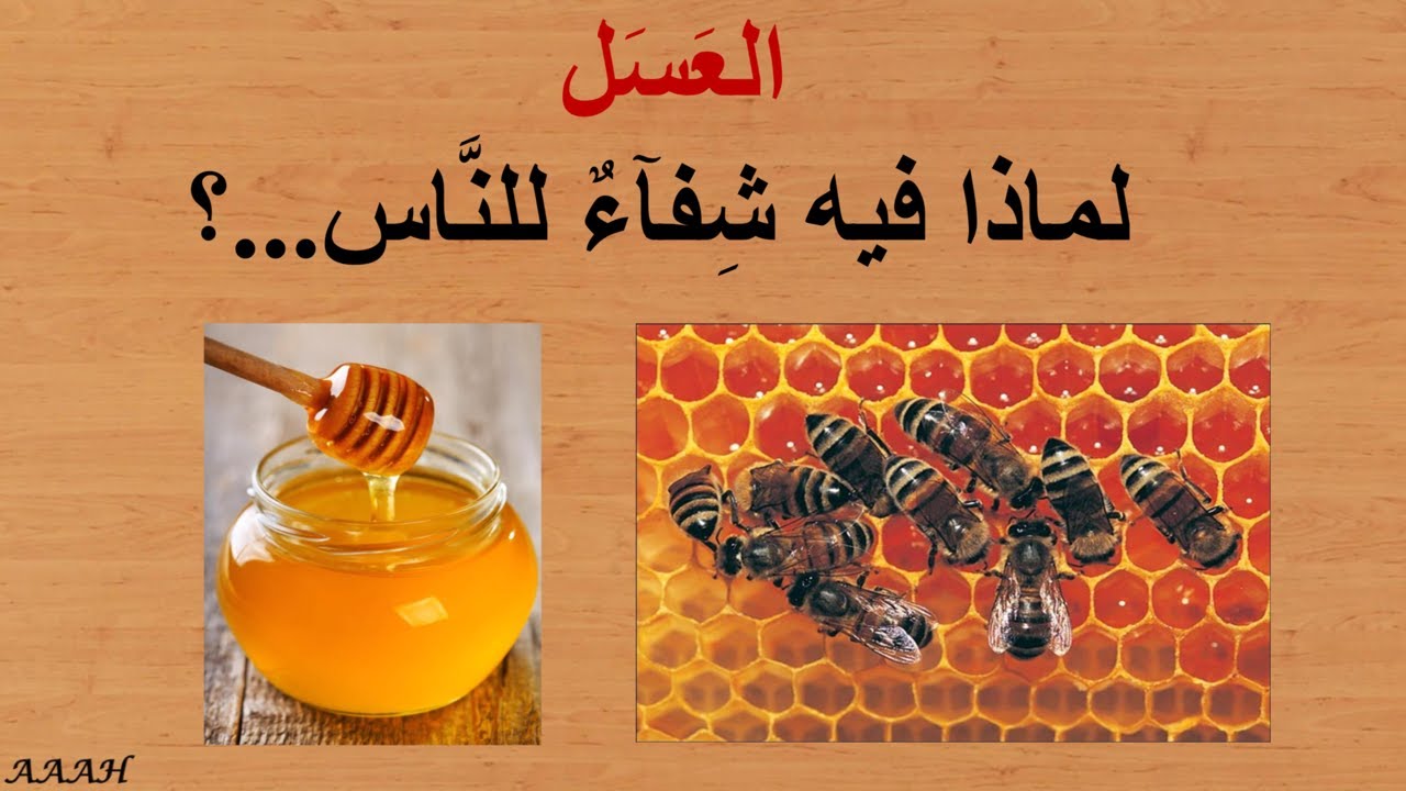 العسل  لماذا فيه شفاء للناس