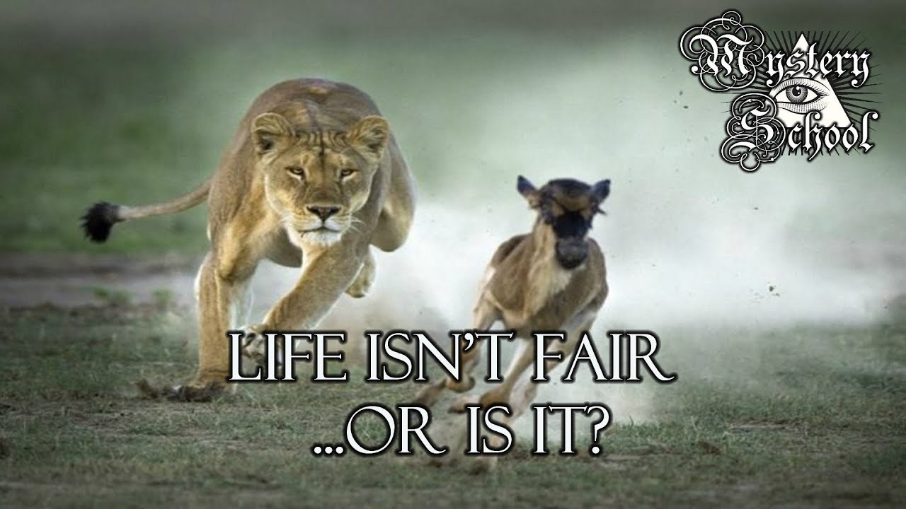 Life Isn't Fair ...or is it? | Mystery School 185