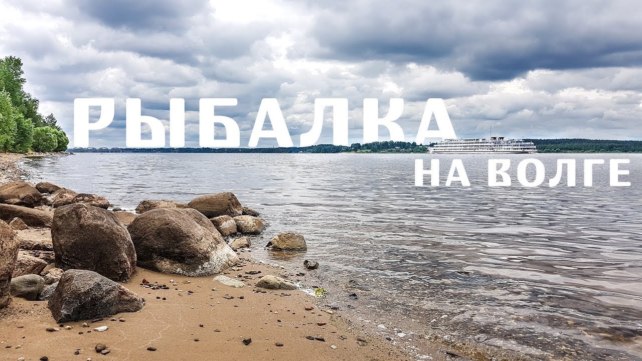 Рыбалка на Волге. ЛЕЩ. Глебово, Ярославская область | Отмечаем мой ДР. Июнь 2019