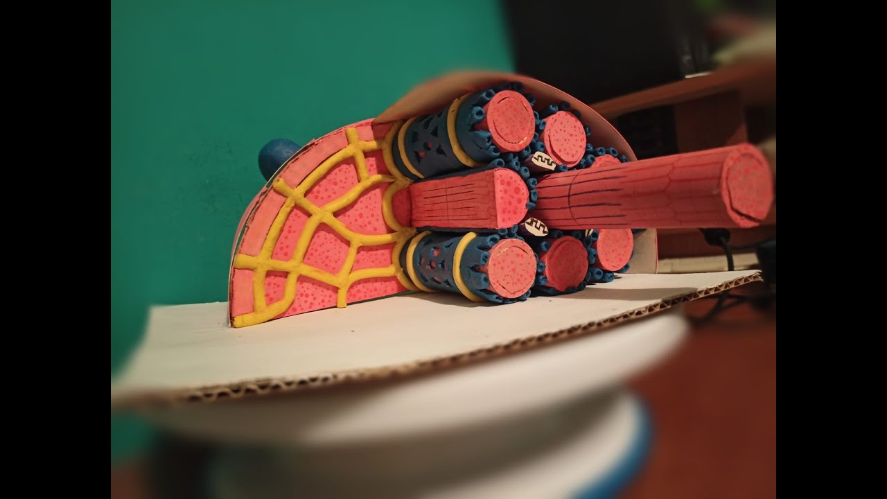 Maqueta de la célula del musculo (miocito)
