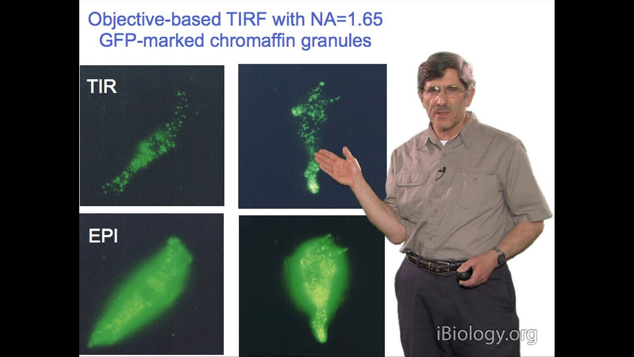 Microscopy: Total Internal Reflection Fluorescence (TIRF) Microscopy (Daniel Axelrod)