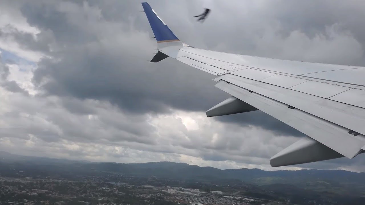 Copa Airlines Boeing 737 MAX-9 Birdstrike Takeoff & Emergency Landing - Panama City