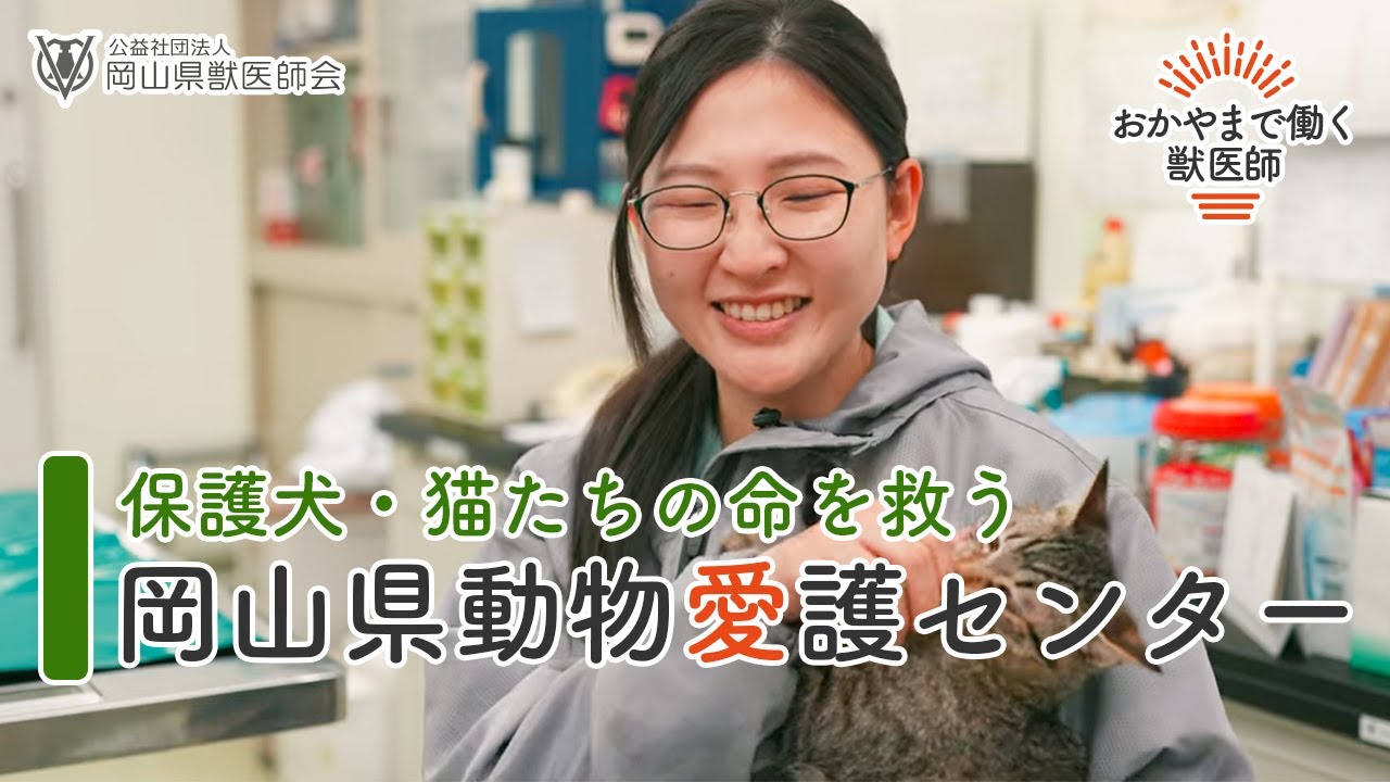 岡山県動物愛護センターで働く獣医師【インタビュー】