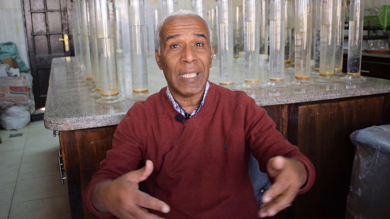 أنواع ومظاهر الأراضي المتأثرة بالأملاح