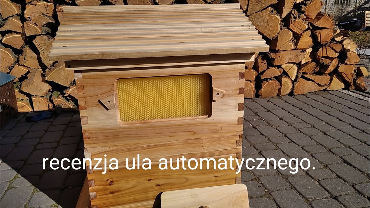 recenzja ula automatycznego