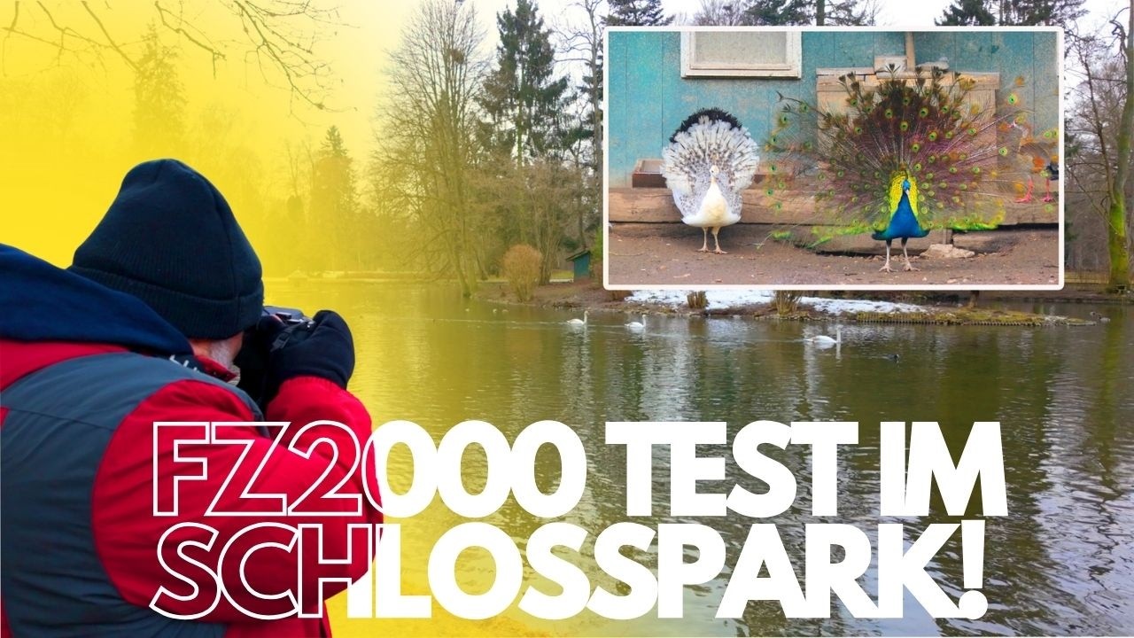 Donaueschinger Schlosspark mit Lumix FZ2000: Bridge-Kamera Test & Vogelparadies!