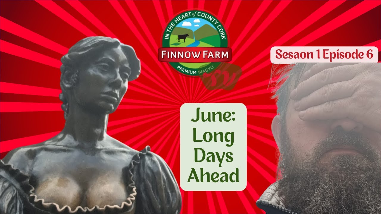 June: Long Days Ahead S1E6 #wagyu #farm #farming #farmlife #breed #cattle #beef #japan #Irish