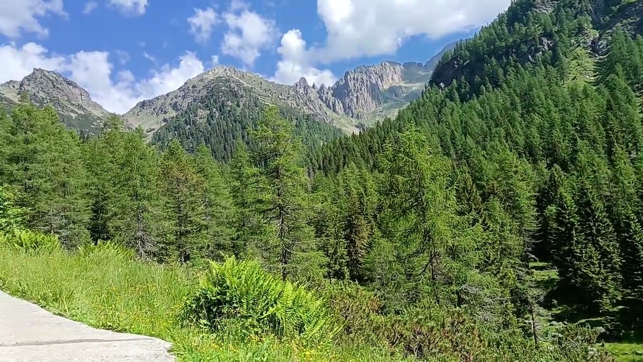 Sentiero per cima D'Asta
