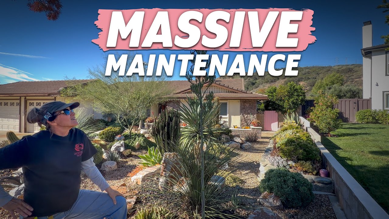 MASSIVE Maintenance in Claremont!