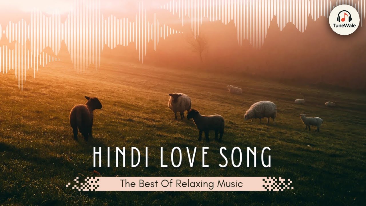Hindi Love Song 🤩 | Emotional Song 2025 | TuneWale #song #trending 