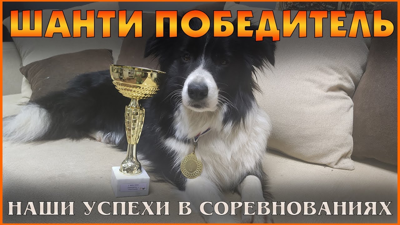 Наша первая победа в Обидиенс