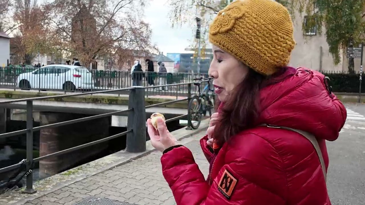 เที่ยวเมือง Strasbourg หน้าหนาว พย. 2025