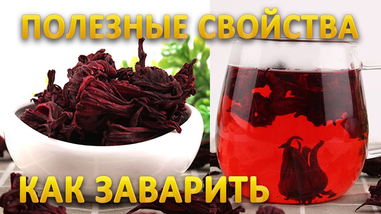 Каркаде чай - свойства, как заваривать | Долина чая