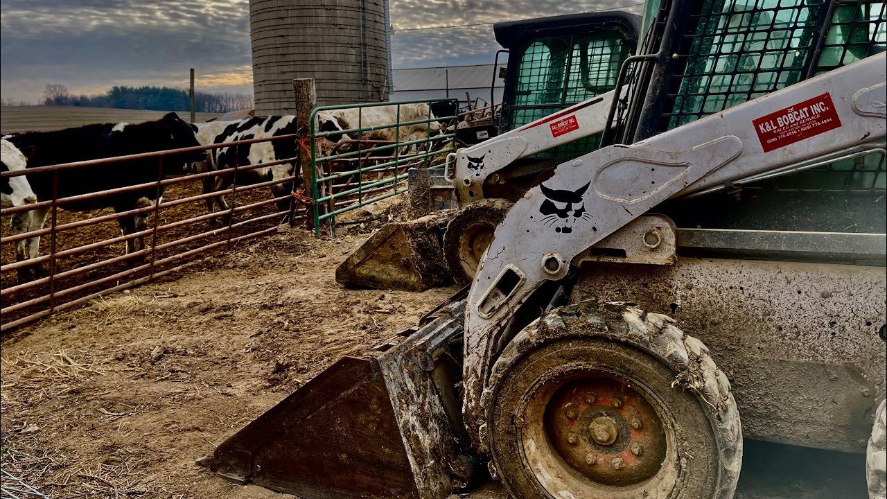 Two skid steers is way better than one! A lot of manure to haul!
