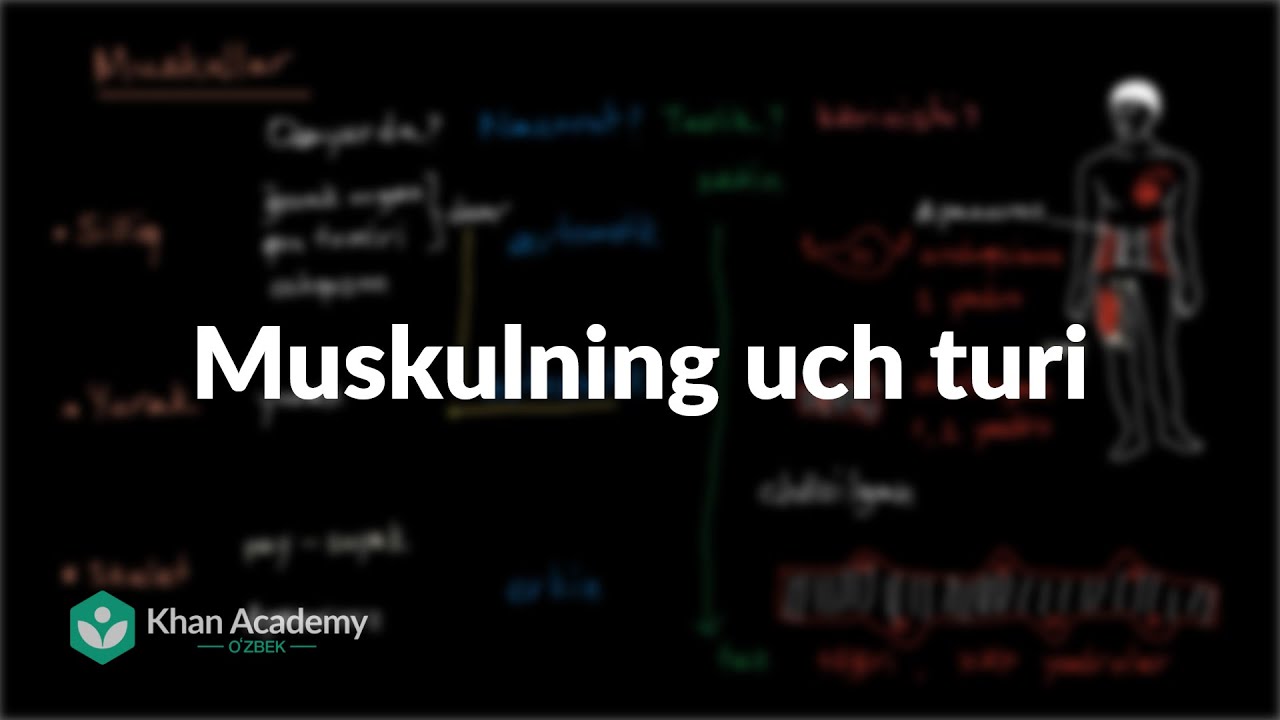 Muskulning uch turi | Odam tanasidagi tizimlar | Yuqori sinf biologiyasi