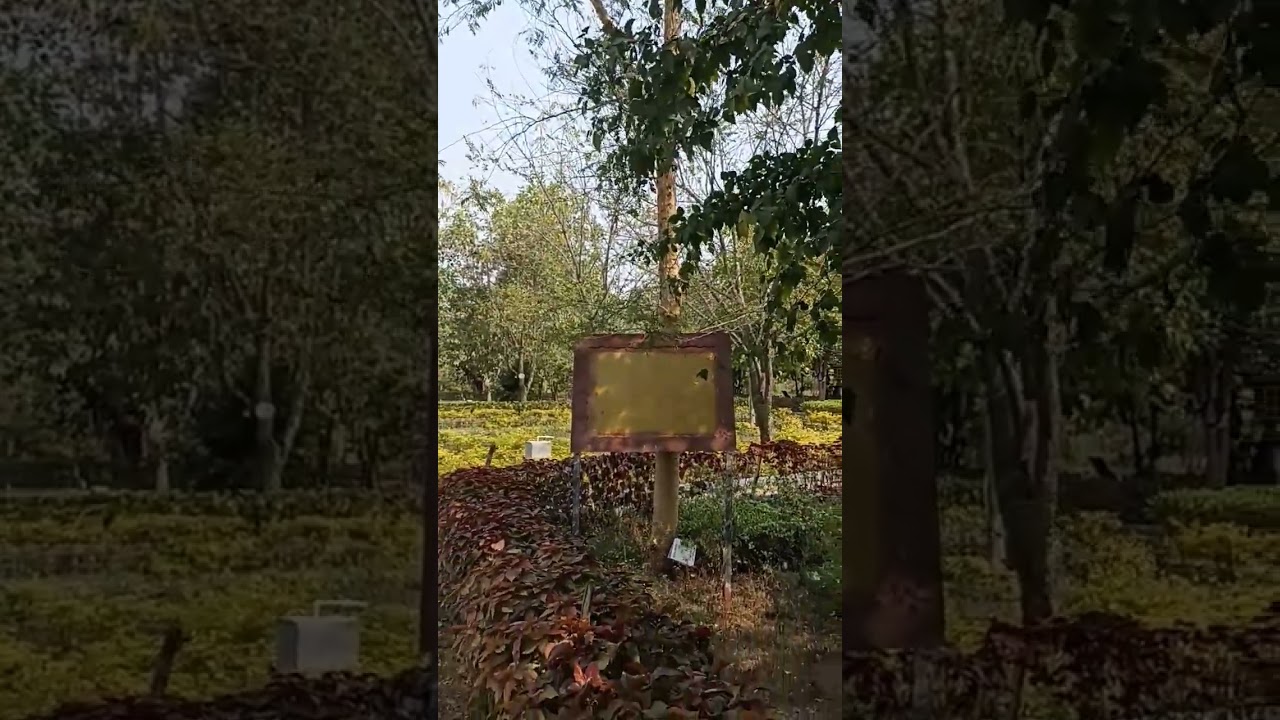 मुझे वो रिश्ते नही चाहिए