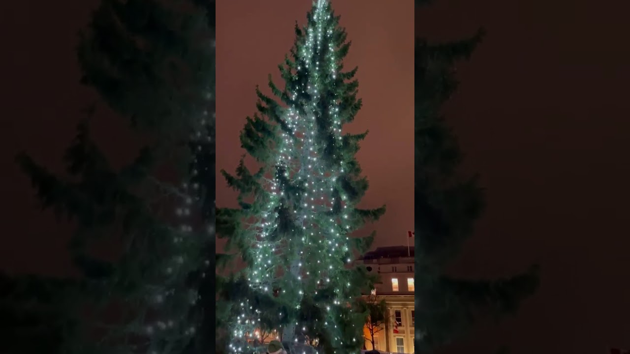 Christmas time in Trafalgar Square || Christmas Tree || London 