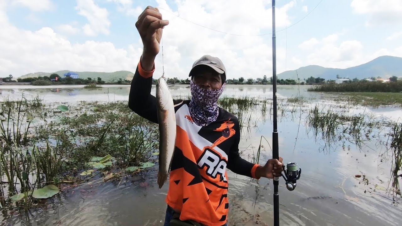 ត្រីនៅត្រពាំងក្រឡឹងធំជាងស្គន់បន្តិច