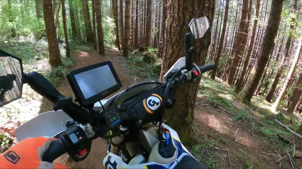 Dual Husqvarna FE350's Ride Single Track in Oregon:  Do they still like 350s after 1,200 miles?