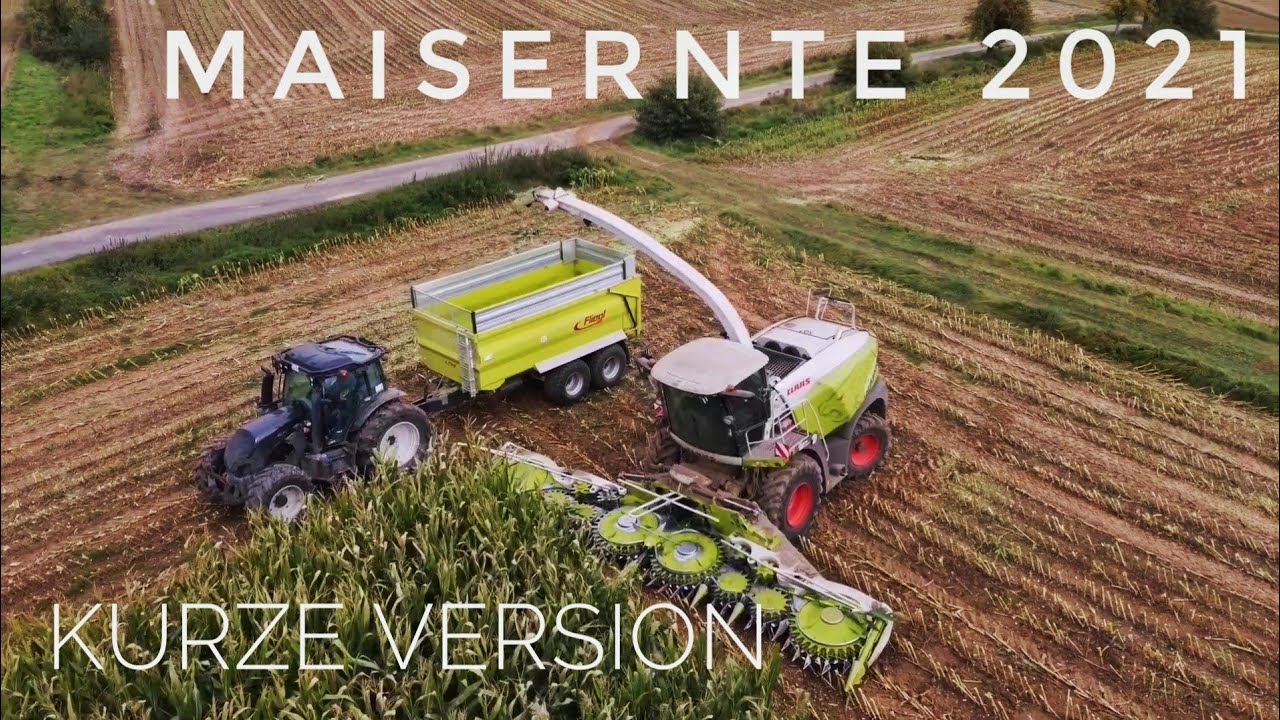 Maisernte 2021 [kurze Version]