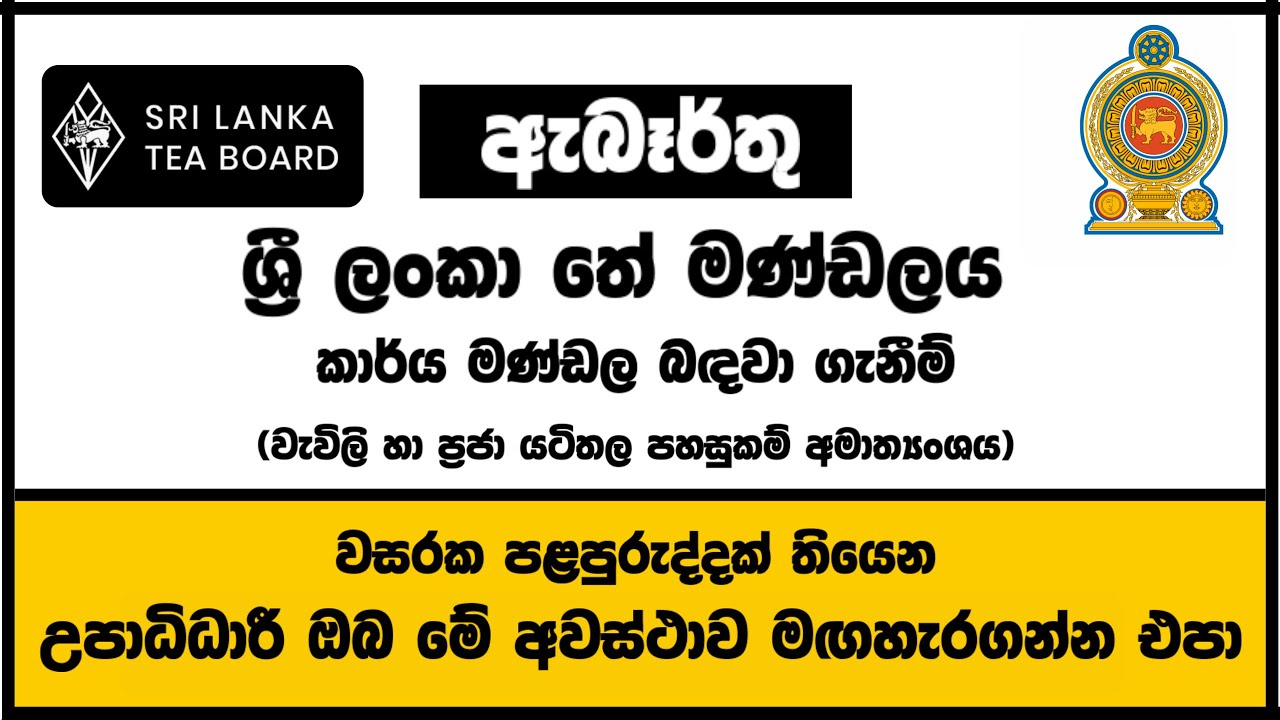 රජයේ රැකියා I Government Jobs in Sri Lanka I Sri lanka Tea Board I JobFlix SL