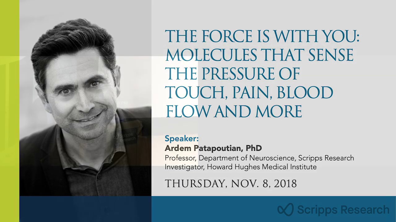 The Force is With You: Molecules That Sense the Pressure of Touch, Pain, Blood Flow & More