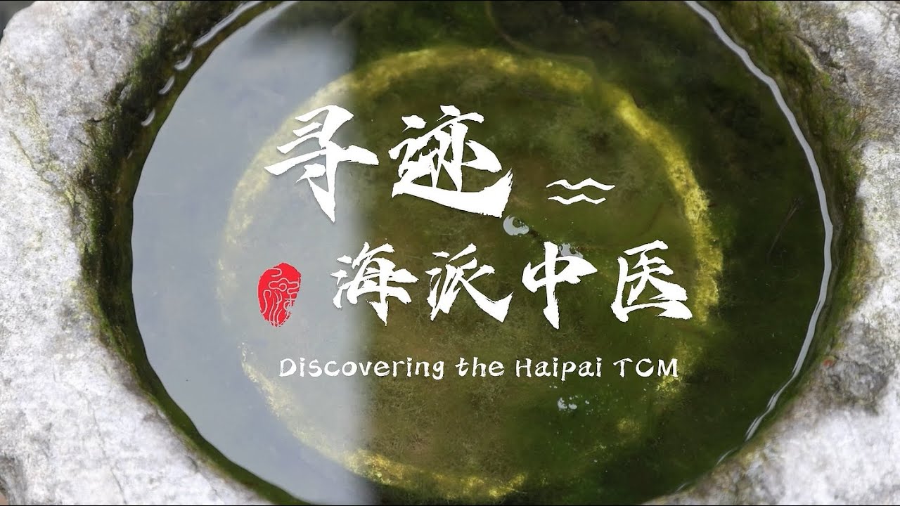 Students of Shanghai University of Traditional Chinese Medicine - Discovering the Haipai TCM