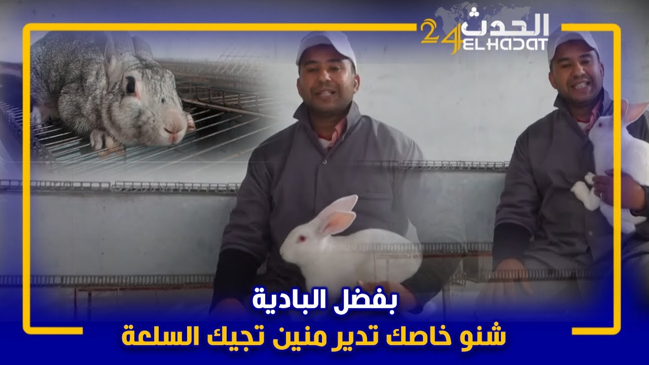 بفضل البادية...دراسة الجدوى 4 شنو خاصك تدير منين تجيك السلعة