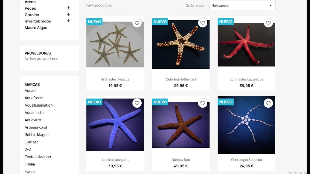🐟Corales.com - Estrellas de mar, corales, macroalgas etc ...