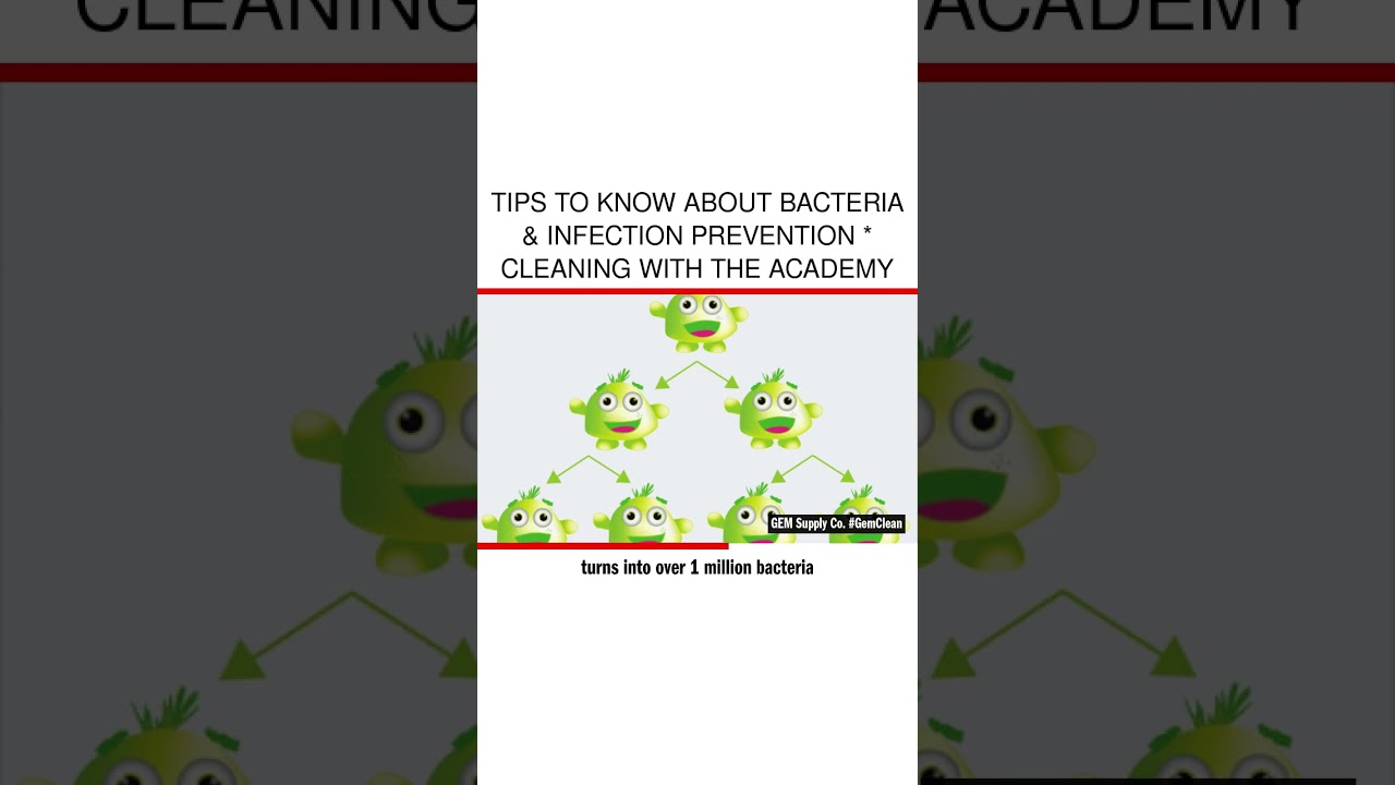 Tips to Know About Bacteria & Infection Prevention * Cleaning with the Academy