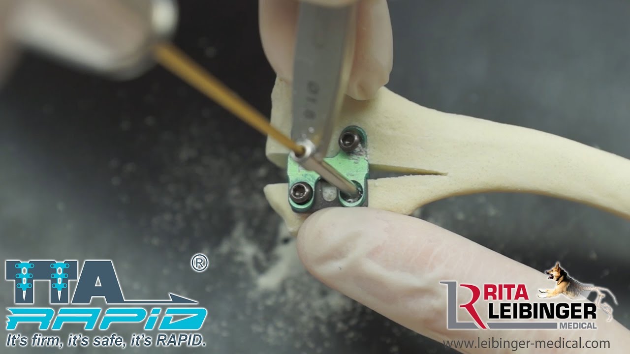 Patella Luxation treatment with TTA RAPID Tibia Tappet and Micro Surgery Drill and Saw