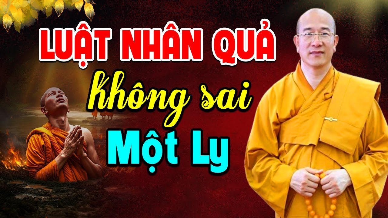 Câu Chuyện Luật Nhân Quả Nhiệm Mầu Khiến Ai Cũng Giật Mình | Thầy Thích Trúc Thái Minh Giảng Giải