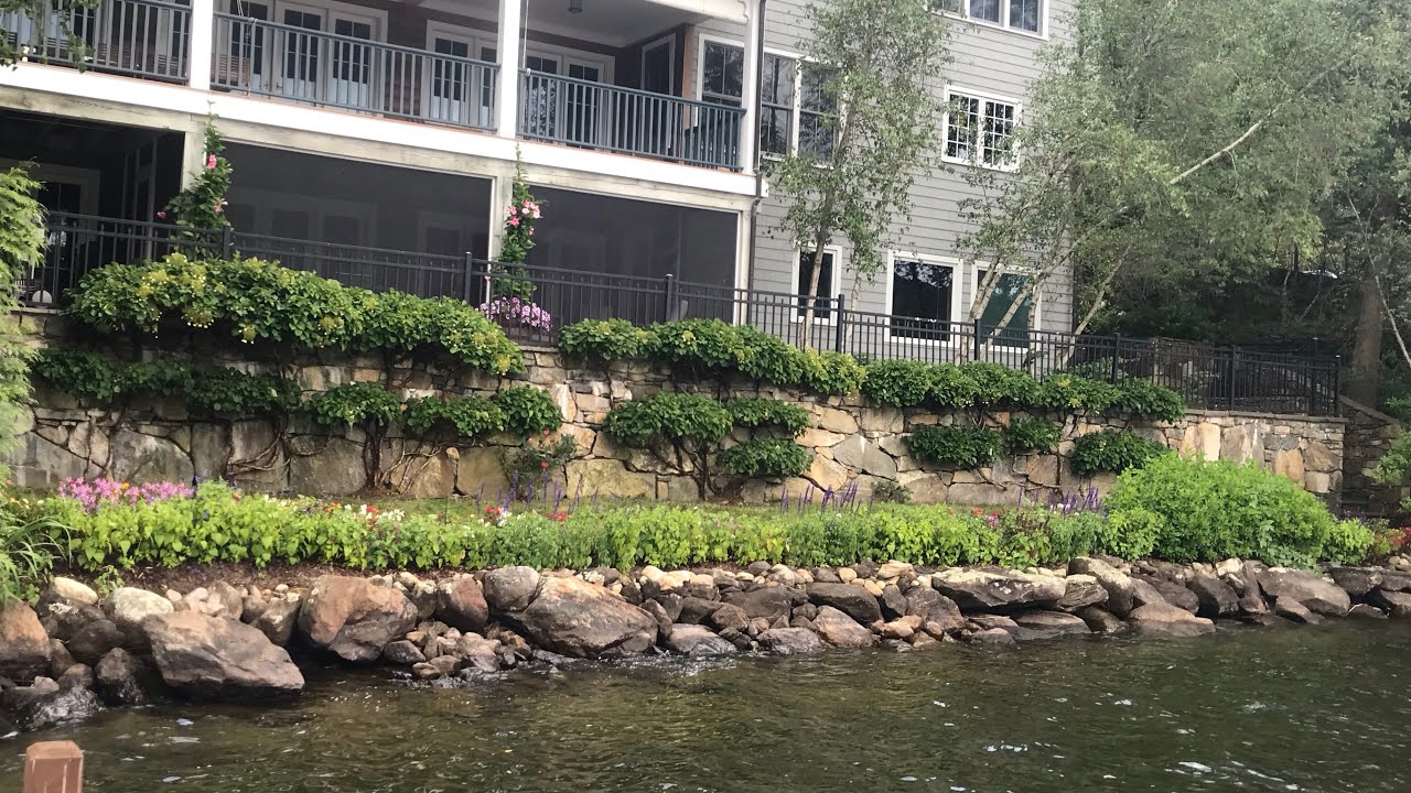 Pruning Climbing Hydrangea (Hydrangea anomala petiolaris)