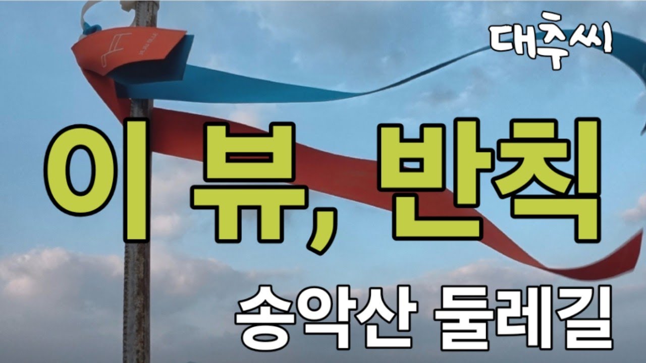 바람소리와 걷다보니 파도소리와 풀을뜯는 말🐎 그날의 풍경들