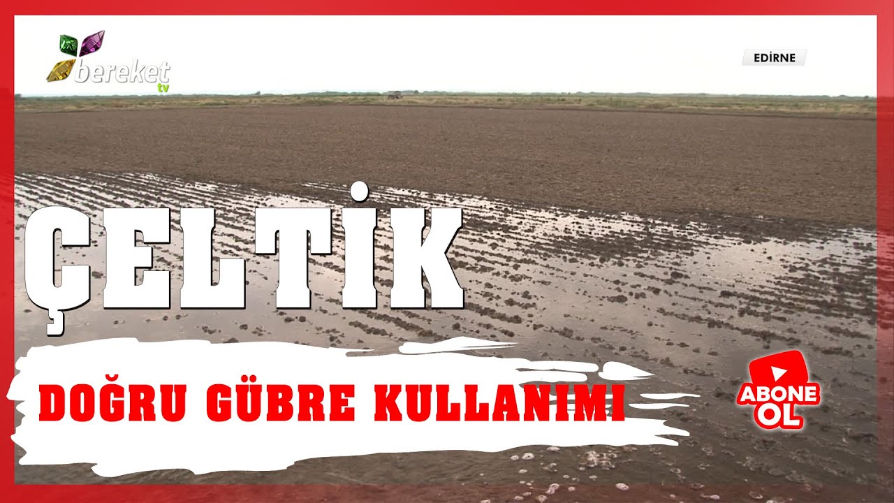 Çeltik Yetiştiriciliğinde Gübreleme Nasıl Yapılmalıdır ?