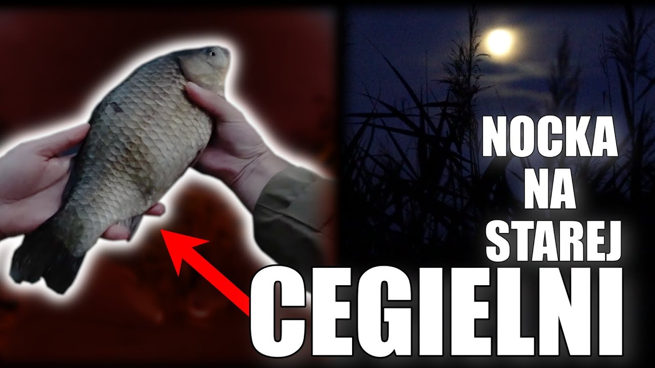 SPĘDZIŁEM całą NOC NA RYBACH - ŻYCI&Oacute;WKA WYR&Oacute;WNANA!