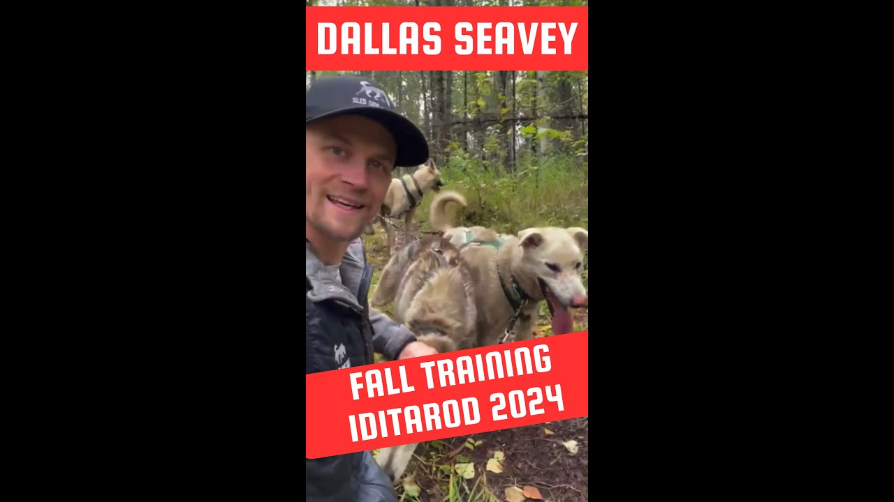 IDITAROD 2024 TRAINING! FALL TRAINING RUN