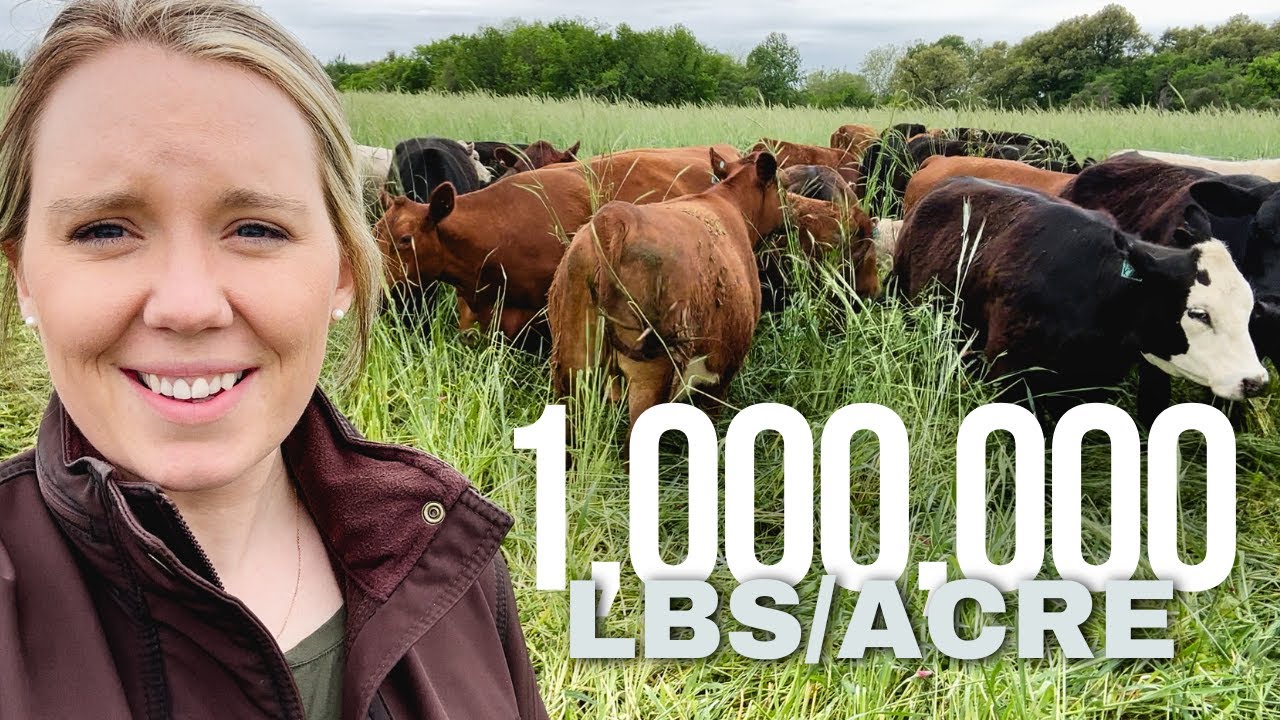 Ultra High Density Grazing Cover Crops - April 19, 2024