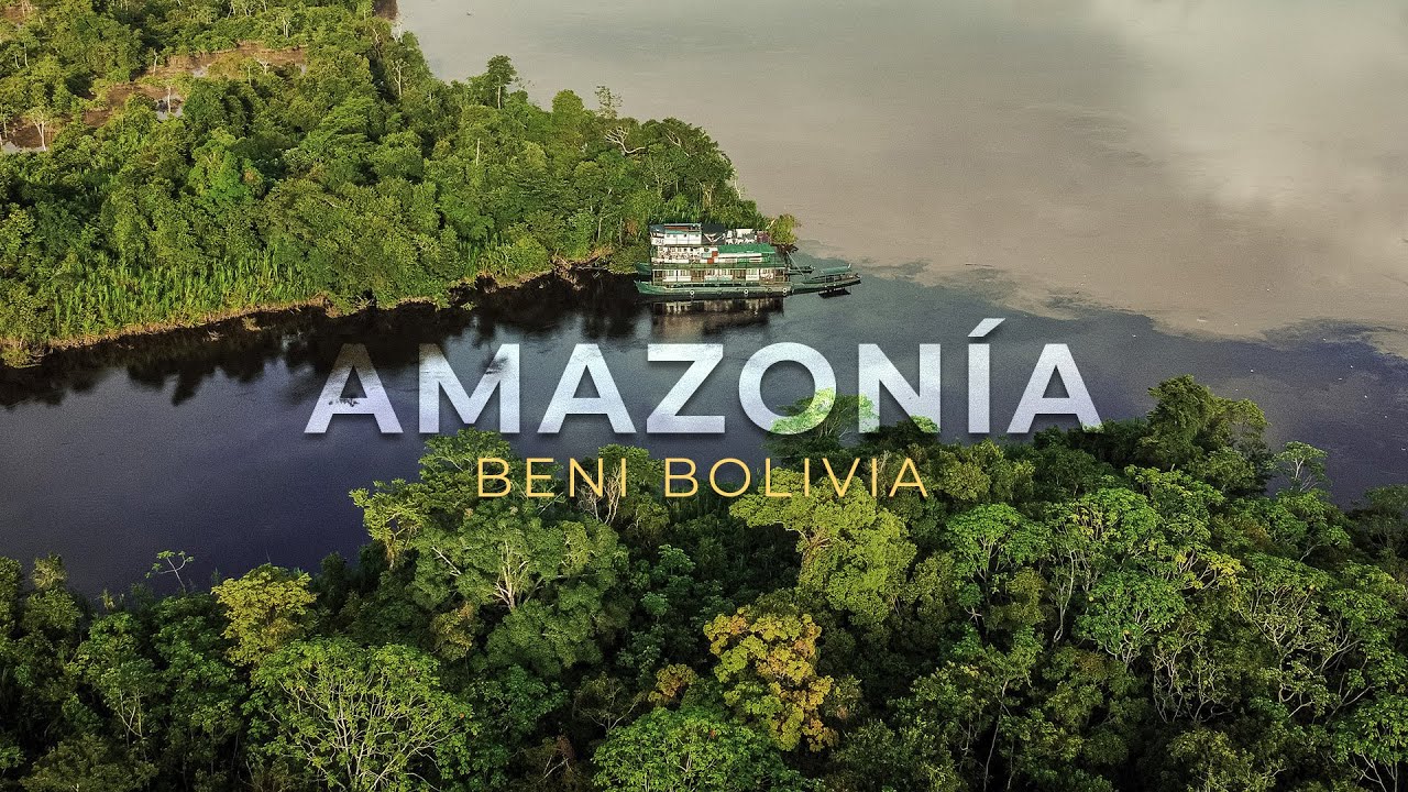 Encontramos DELFINES ROSADOS en la AMAZONÍA Beni BOLIVIA