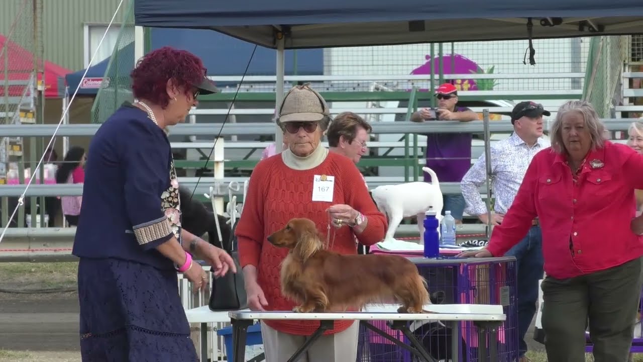 02Jun23 Boonah Show Society Champ Show